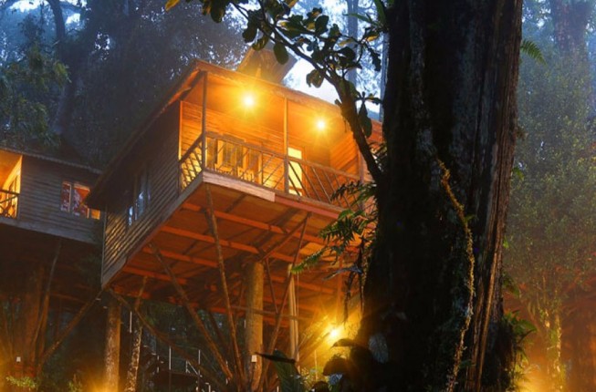 3 Nights 4 Days – Munnar Tree House and Alleppey House Boat